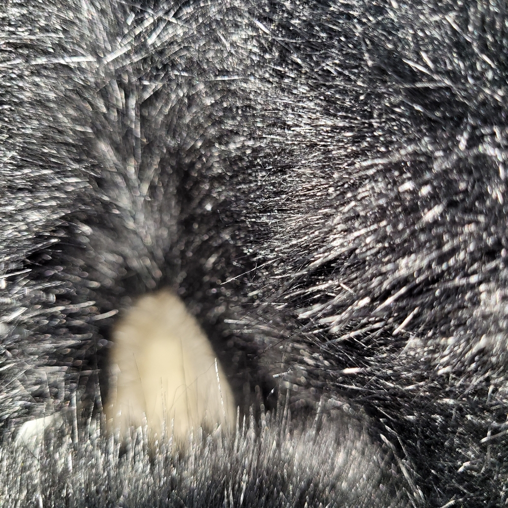 UGG Black Winter Boots - Picture 5 of 11